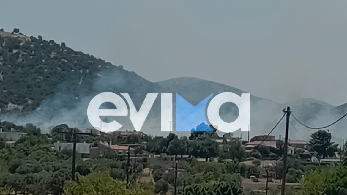 Φωτιά στην Εύβοια κοντά σε σπίτια και σε εργοστάσιο - Ήχησε 112  