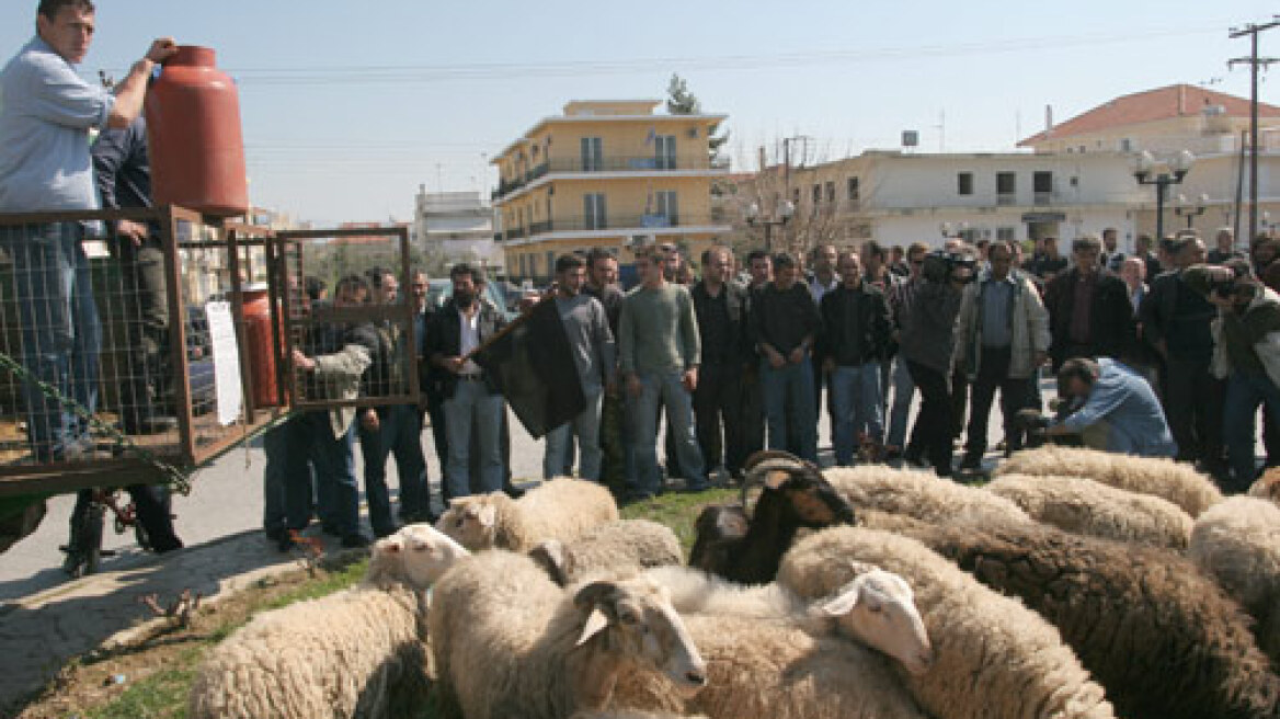 Στους δρόμους οι κτηνοτρόφοι Αν. Μακεδονίας - Θράκης