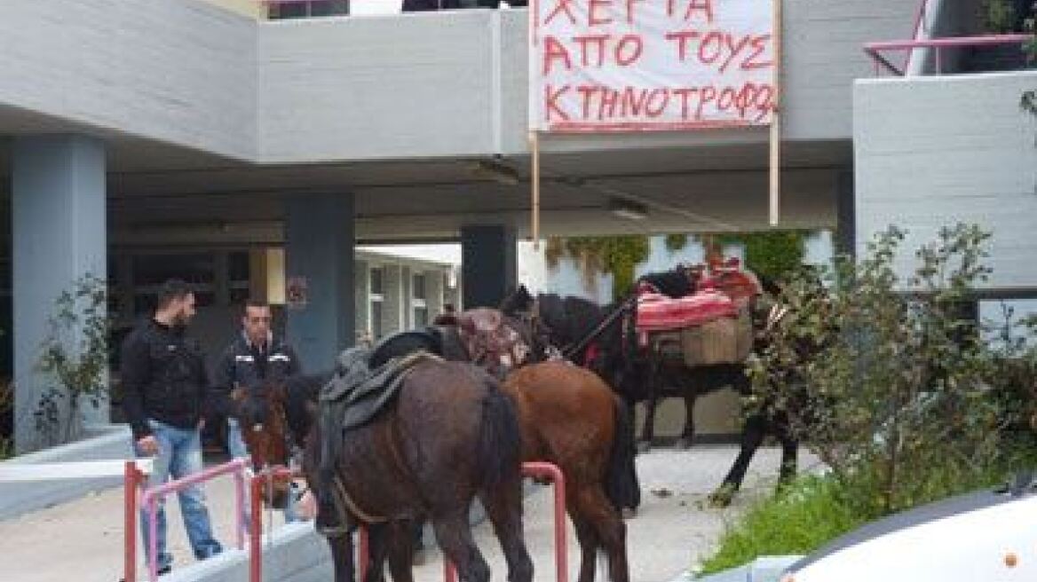 Υπό κατάληψη η Αντιπεριφέρεια  Σάμου από κτηνοτρόφους 