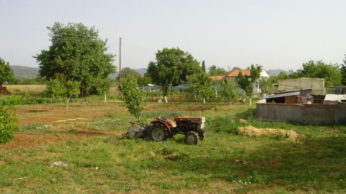 Έπιασαν αυτούς που σφάζουν τα ζώα 