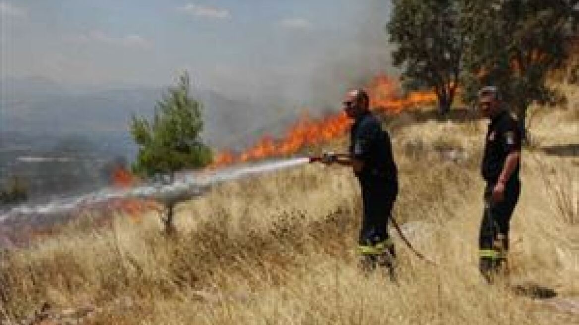 Πυρκαγιά σε δασική έκταση στα Χανιά 