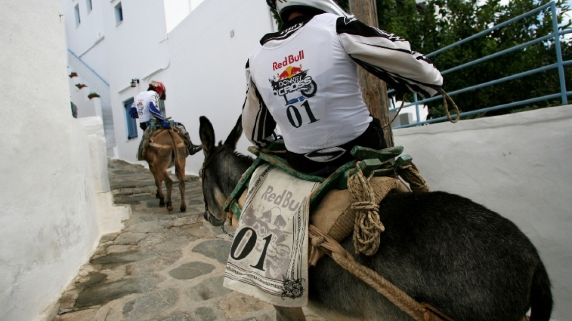 Από το moto cross στο... donkey cross