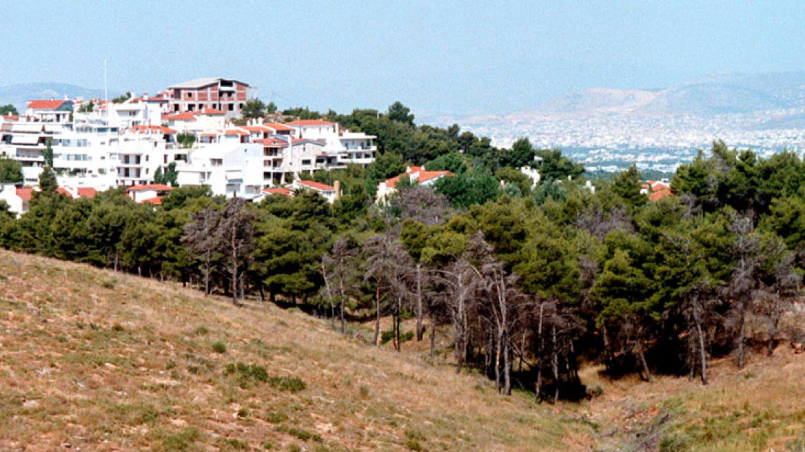 Δασικούς χάρτες αποκτούν Πεντέλη και Μαραθώνας 