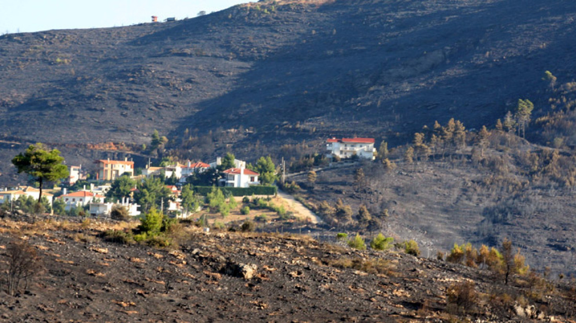 Έτσι χάθηκαν τα δάση της Αττικής…