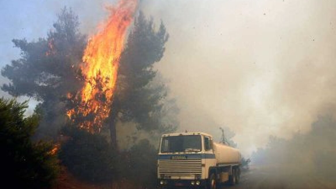 Φωτιά στον Άγιο Γεώργιο Πηλίου