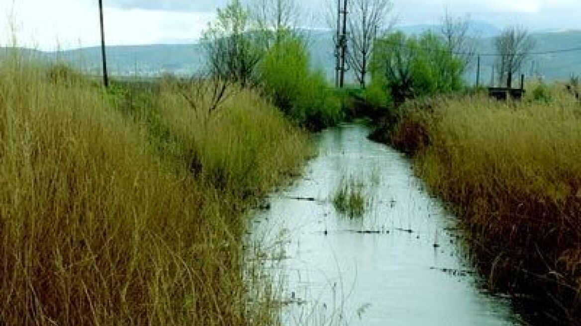 Νεκρή βρέθηκε 24χρονη σε αρδευτικό κανάλι