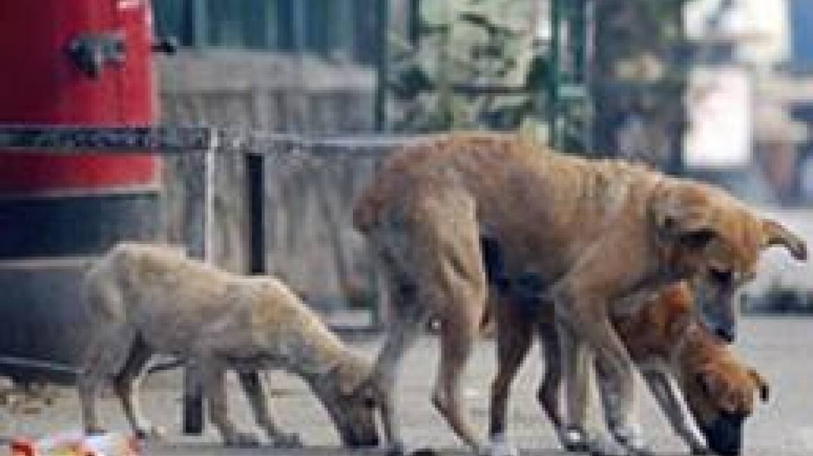 Ζωοκτονίες στη Θάσο και ζωοκλοπές στην Φθιώτιδα