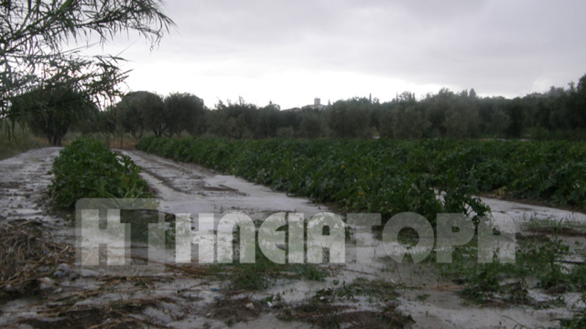 Καταστράφηκαν καλλιέργειες από το χαλάζι στην Ηλεία 