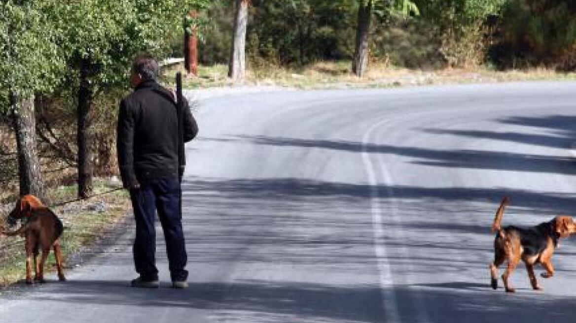 Συνελήφθησαν δυο λαθροθήρες που σκότωσαν αγριογούρουνο