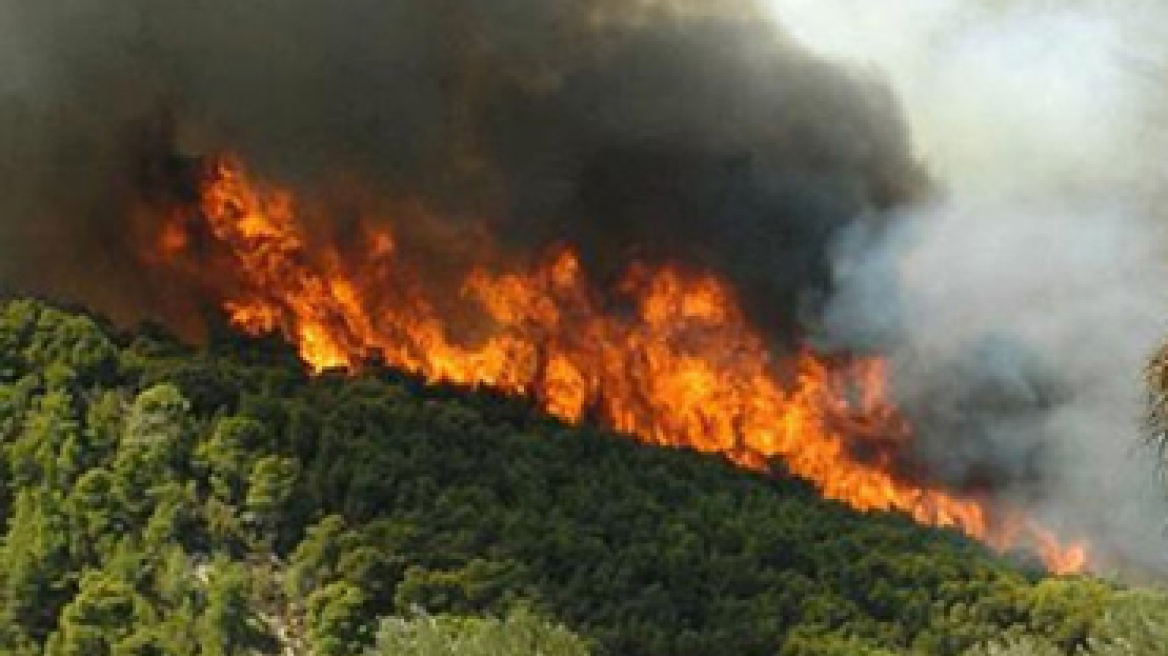 Πυρκαγιά στην περιοχή Σκαλιστήρι Ελευσίνας