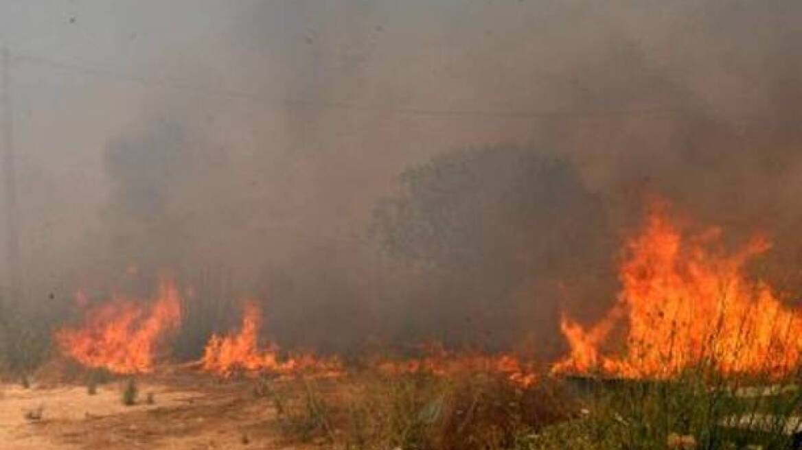 Πυρκαγιά σε δασική έκταση στην Ηγουμενίτσα