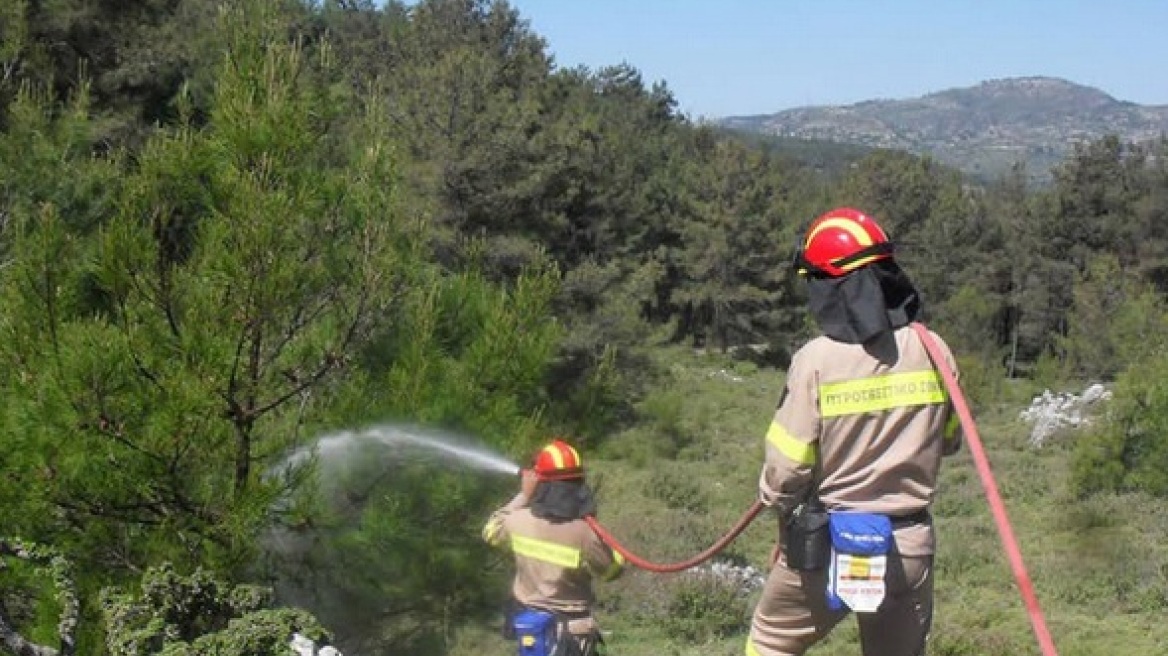 Πυρκαγιά σε δασική έκταση στη Χίο