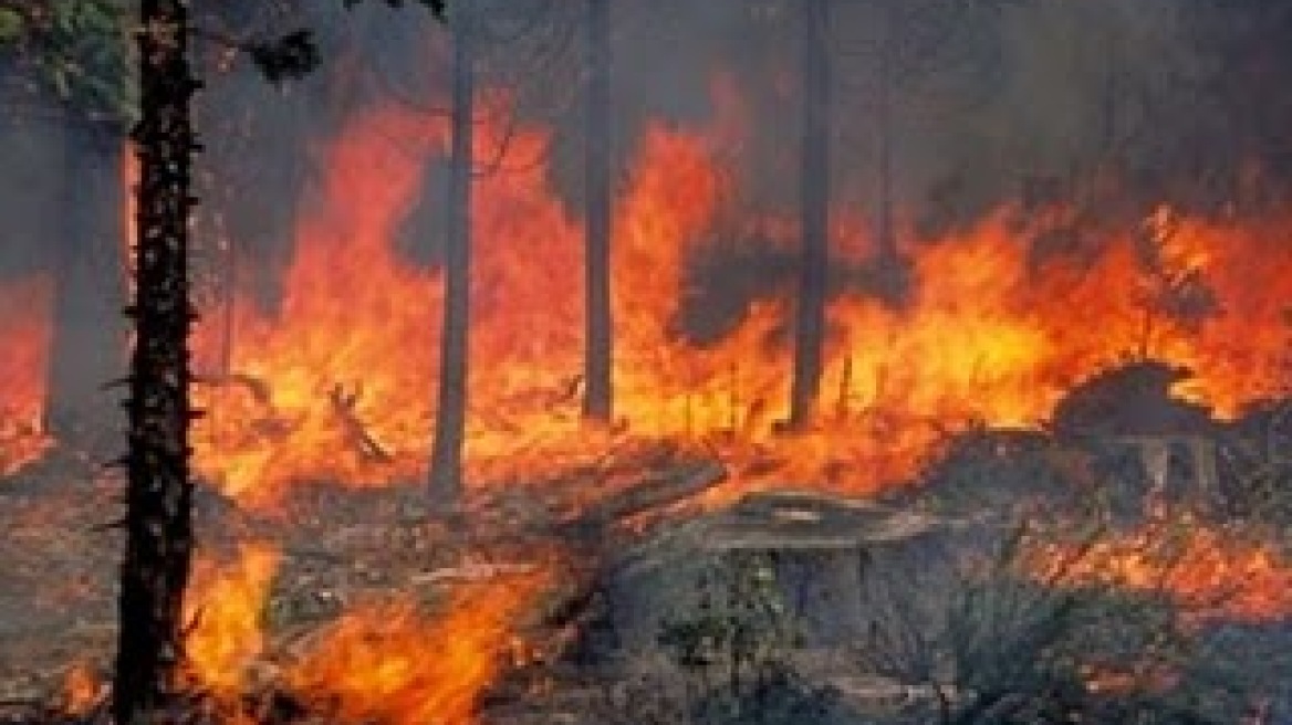 Υπό έλεγχο η πυρκαγιά στην περιοχή Βολίμες Ζακύνθου