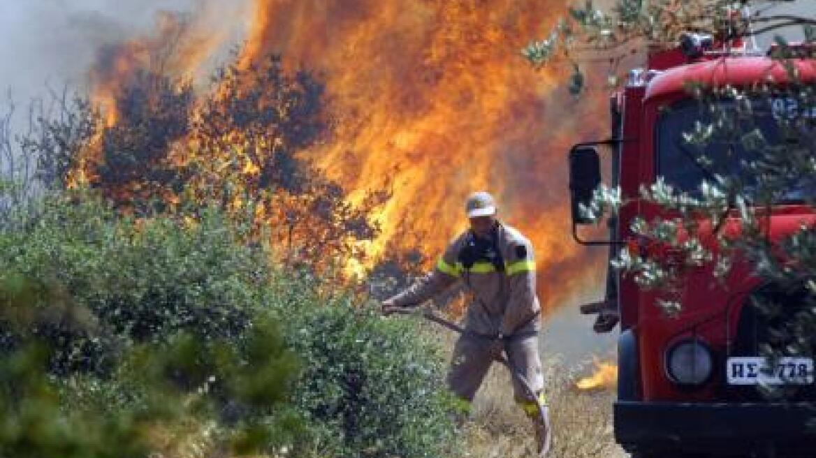 Πυρκαγιά στο Κορακονήσι στη Ζάκυνθο