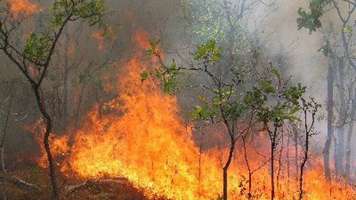 Φωτιά στο Καστανοχώρι Σερρών     