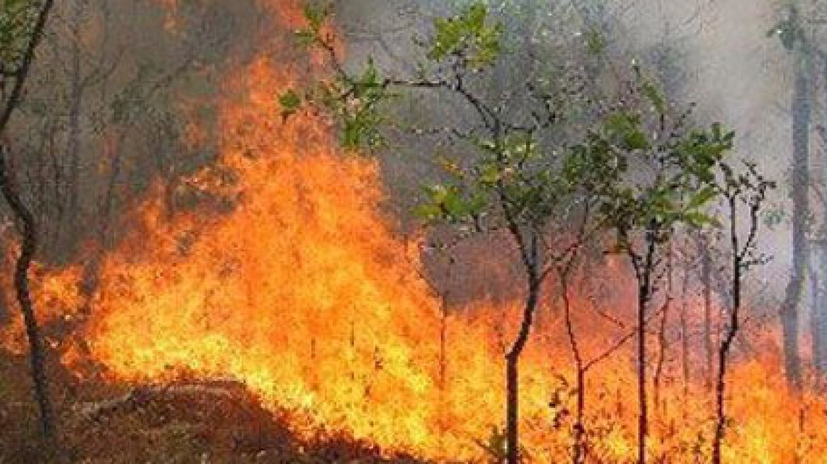 Σε πύρινο κλοιό και σήμερα η χώρα