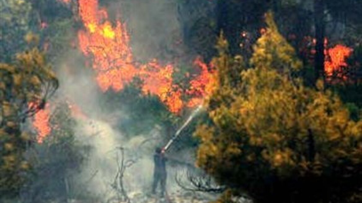 300 χιλιάδες στρέμματα κάηκαν στην Κρήτη σε 25 χρόνια!