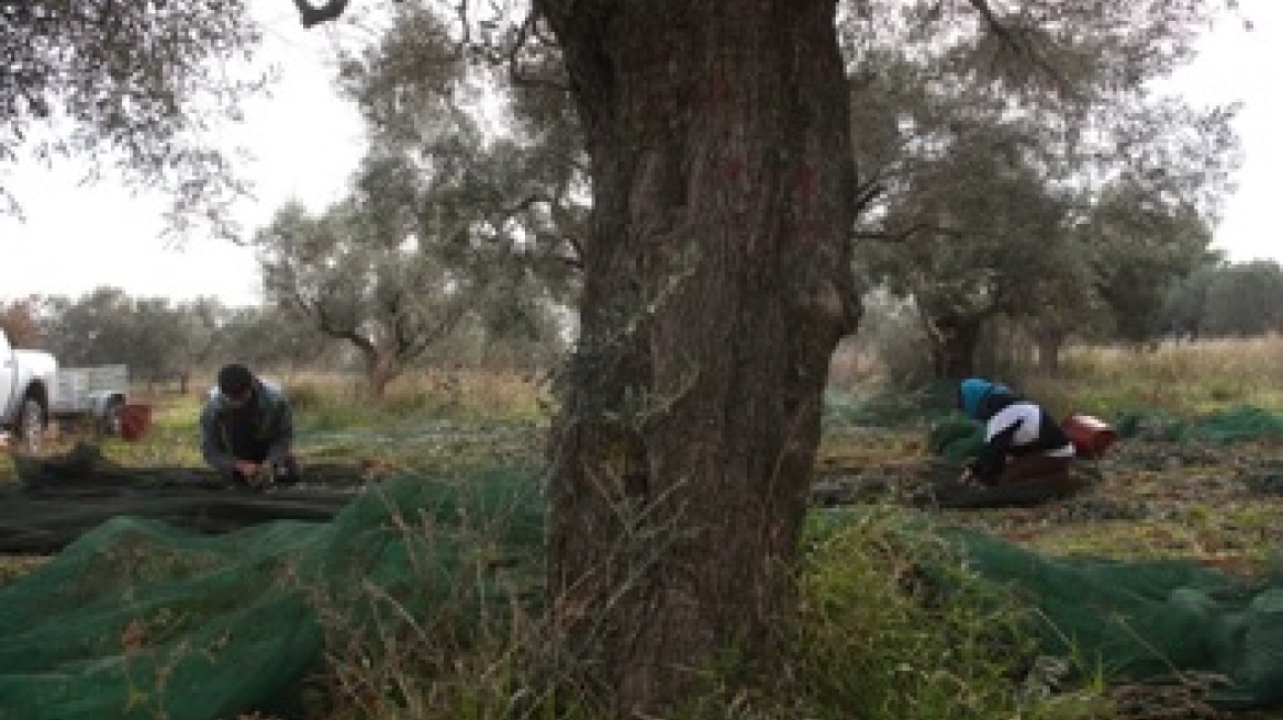 28χρονος απαγχονίστηκε στην Ηλεία