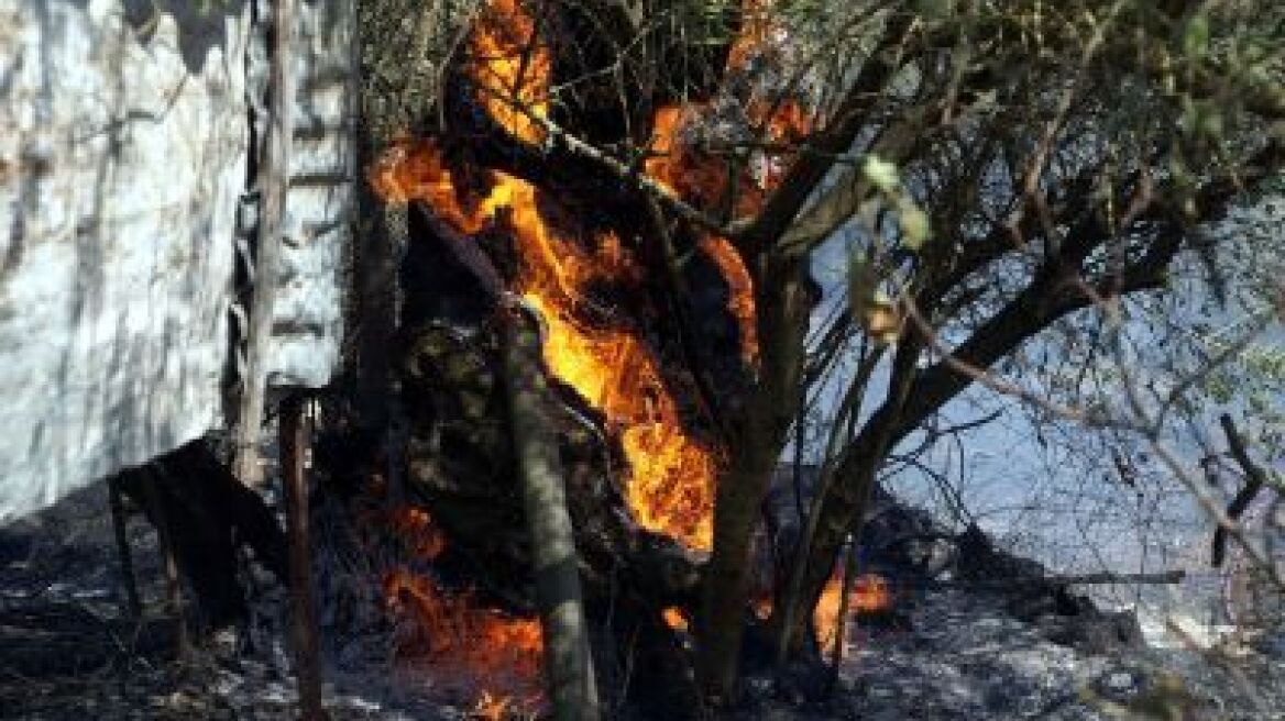 Μάχη με τις φλόγες και την Κυριακή