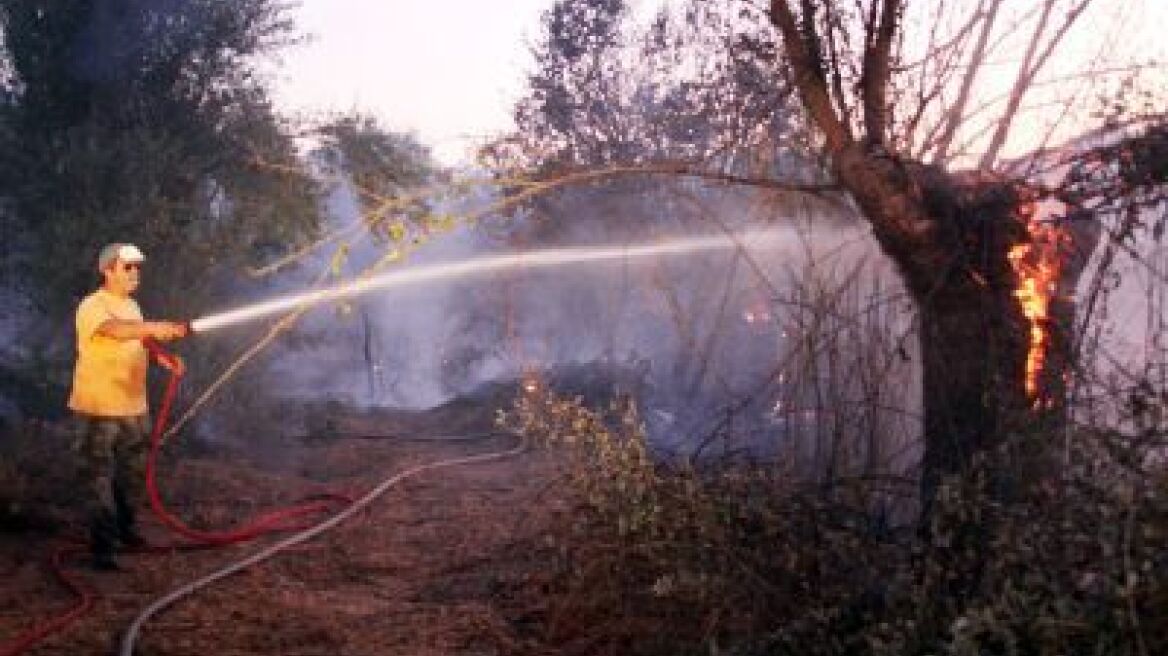 Σε εξέλιξη πυρκαγιές σε Βόνιτσα και Αμφιλοχία