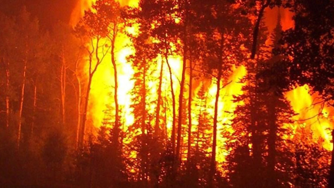 Μajor wildfires hit the country