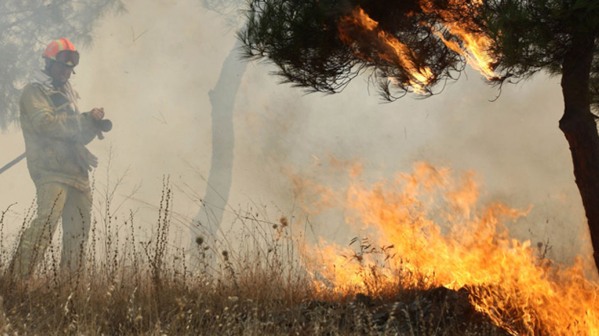 Υπό έλεγχο φωτιά σε δάσος της Πρέβεζας 