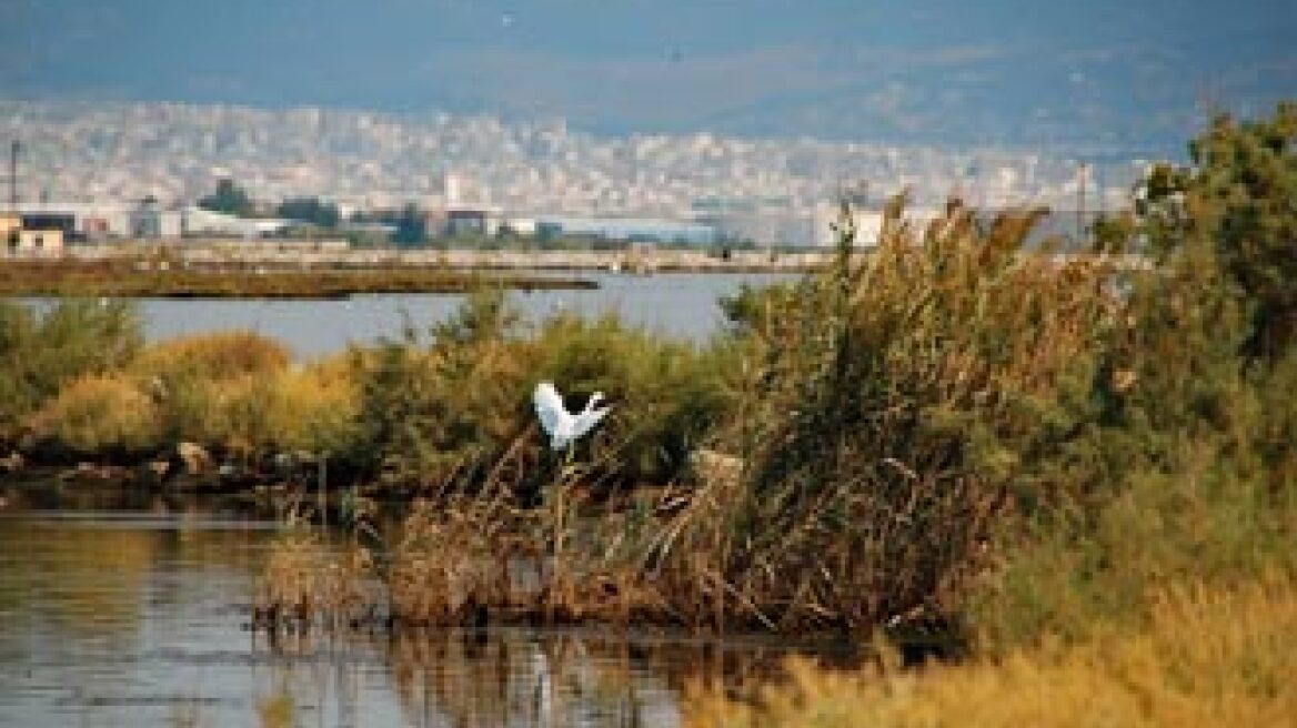 Νέα θαλάσσια ρύπανση στη Θεσσαλονίκη