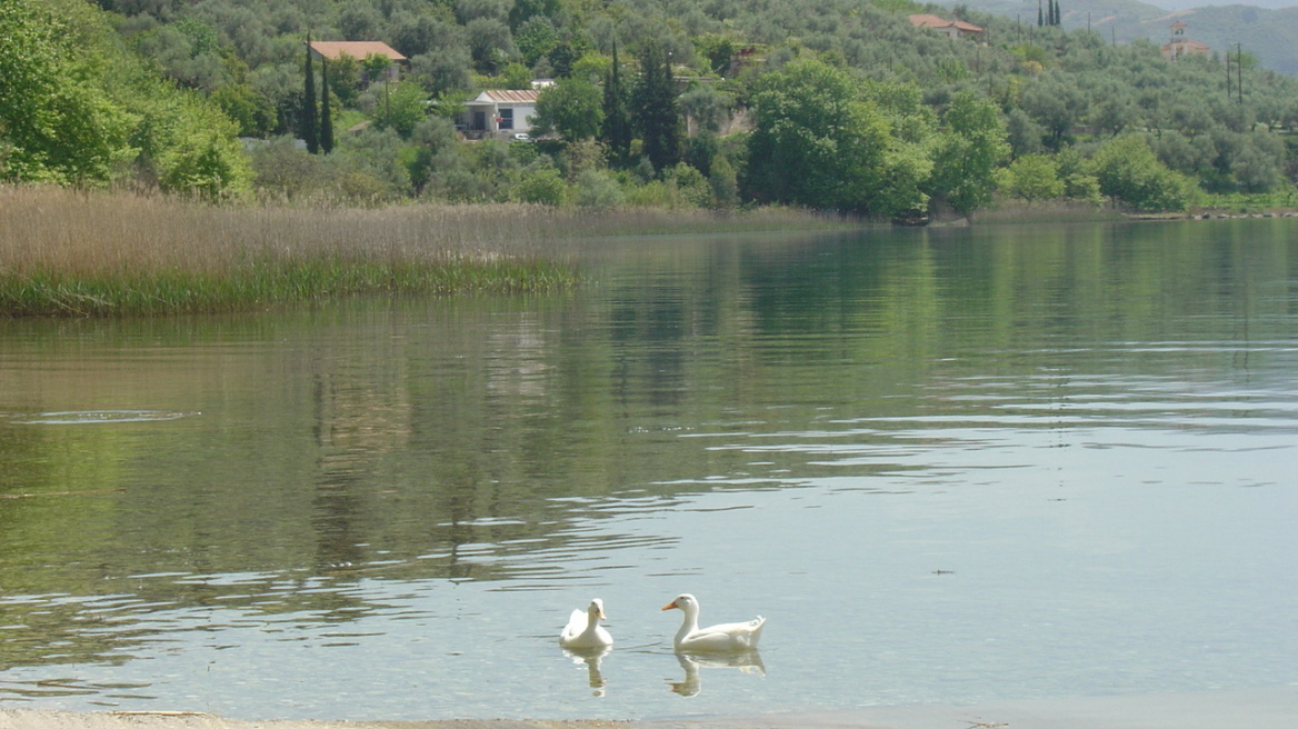  «Σαφάρι» της ΕΛΑΣ για παράνομη αλιεία στην Τριχωνίδα 