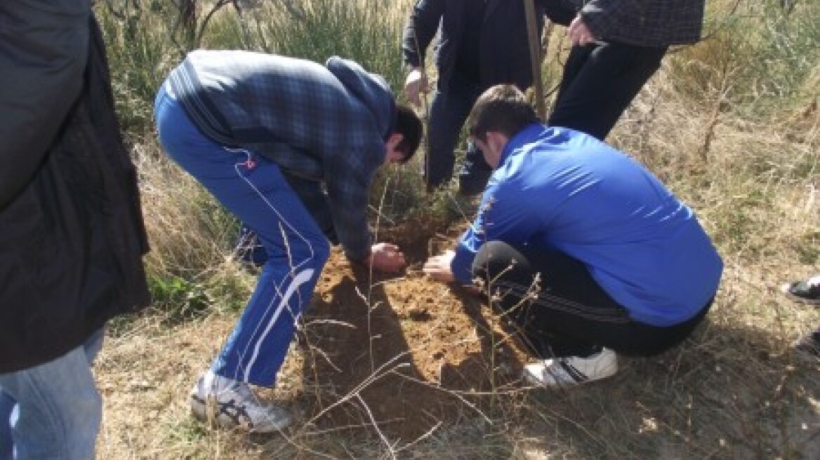 Δενδροφύτευση στο Μεταξοχώρι