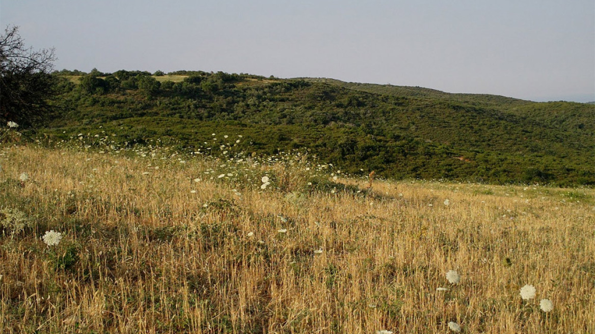 Φόρος στα εκτός σχεδίου και στα αγροτεμάχια από  φέτος