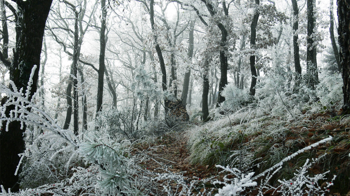 Snowfall during the weekend