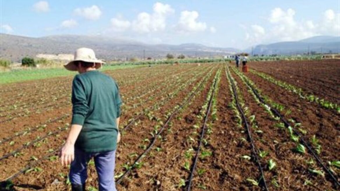 Σε πτώση η αξία παραγωγής του γεωργικού τομέα                         