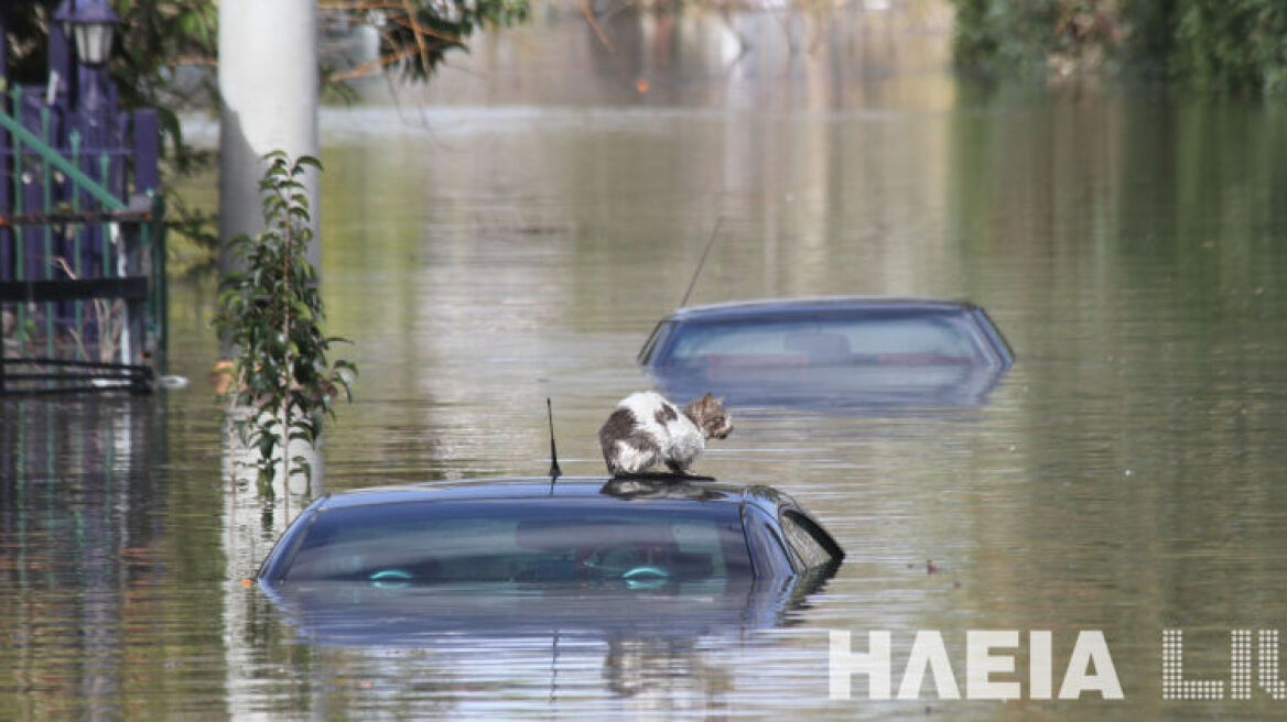 Ηλεία: Ξεπερνούν τα 20 εκατ. ευρώ οι ζημιές από τις πλημμύρες