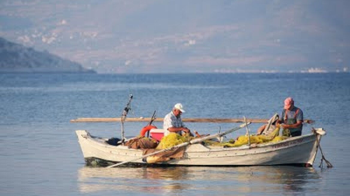 Τελειώνουν τα αποθέματα ψαριών