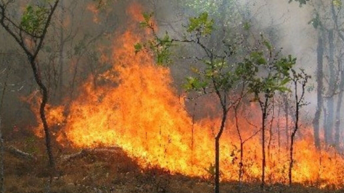 Χειμερινή πυρκαγιά στην Κρέστενα Ηλείας 