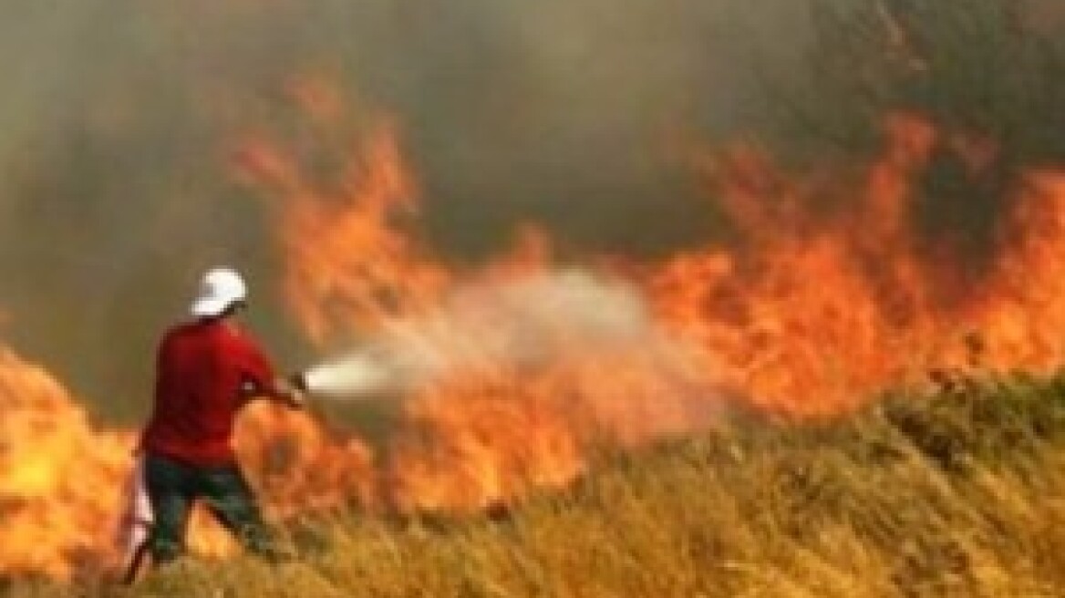 Μεγάλη πυρκαγιά στο Κατηχώρι Πηλίου