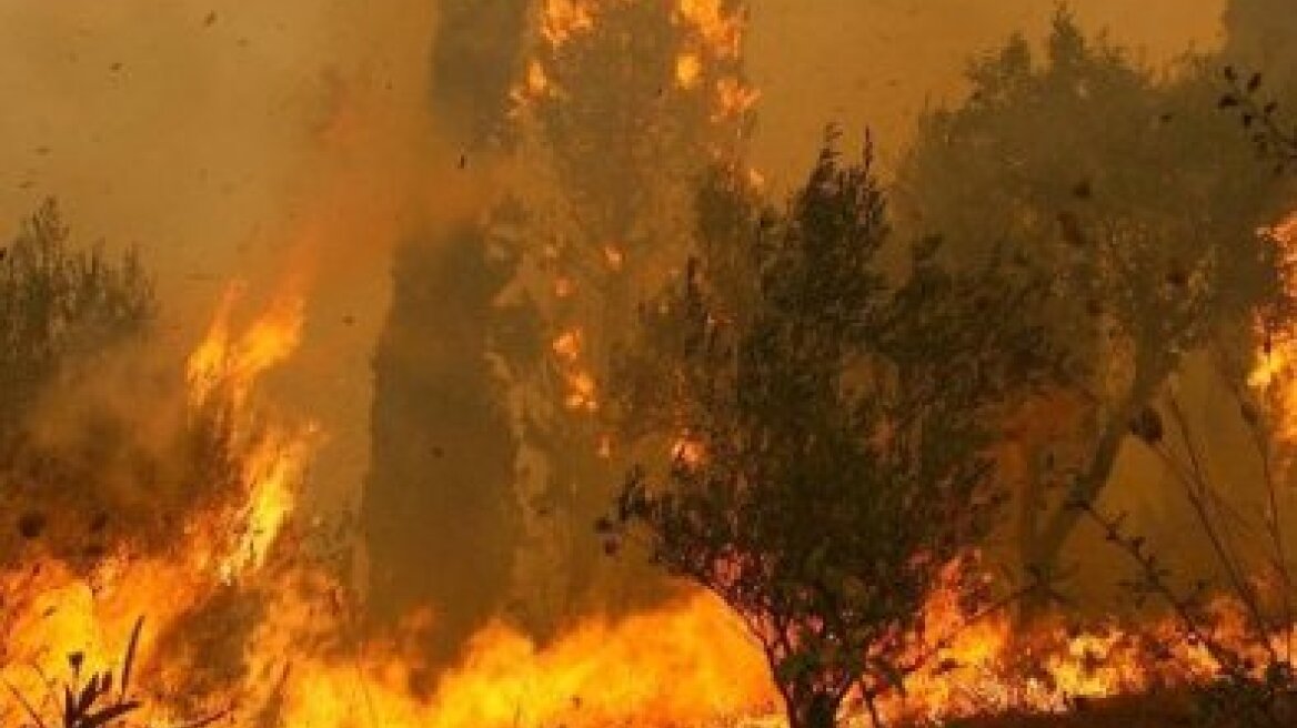 Δύο φωτιές ξέσπασαν στο Γουλέμι Φθιώτιδας