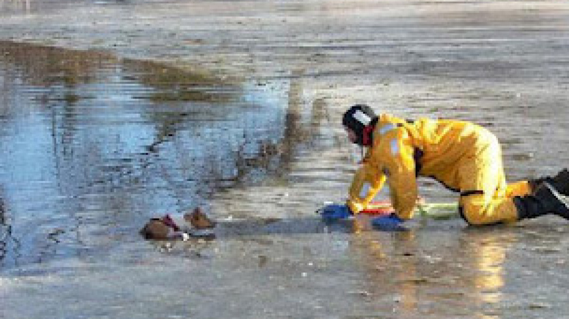 Επιχείρηση διάσωσης σκύλου στη λίμνη Καστοριάς