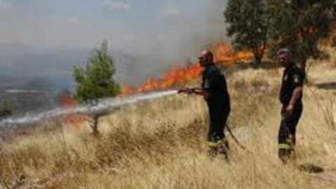 Πυρκαγιά στην Αχαΐα έκαψε 15 στρέμματα