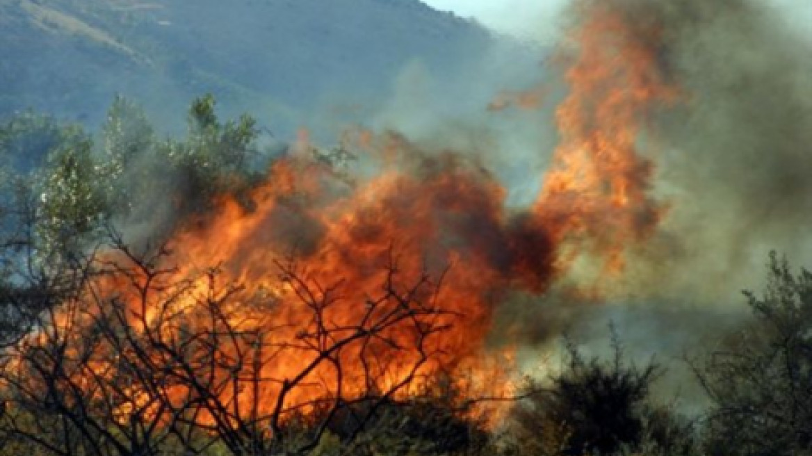 Πολύ υψηλός κίνδυνος πυρκαγιάς σε Αττική και Εύβοια την Τετάρτη