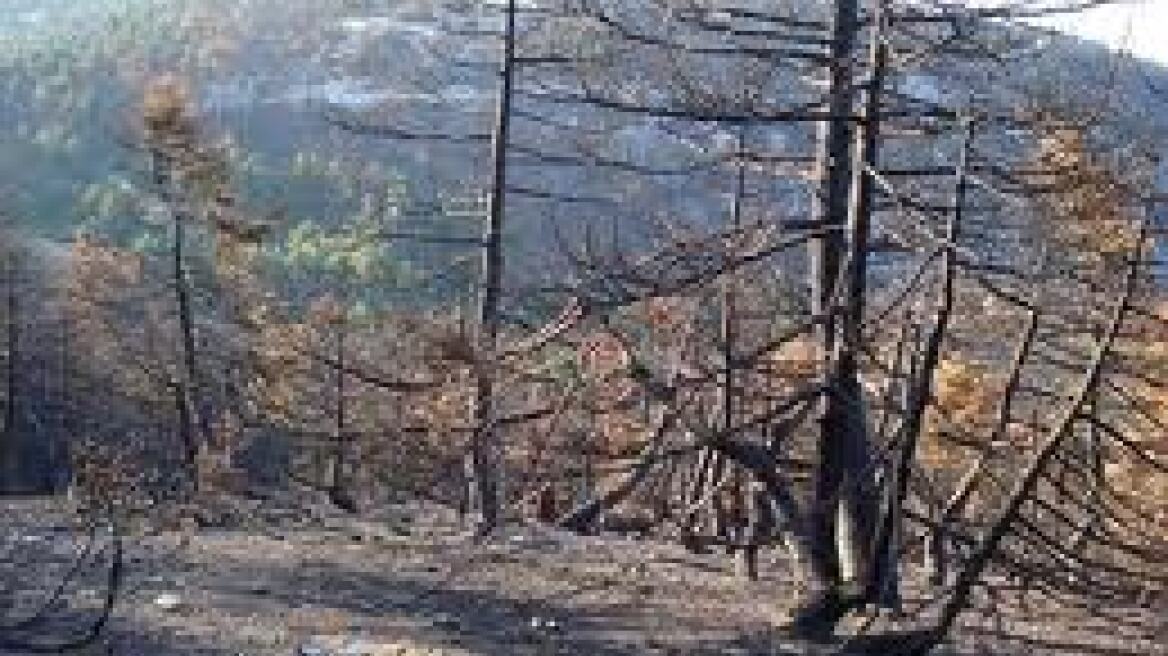 Υψηλός κίνδυνος πυρκαγιάς για την Πέμπτη