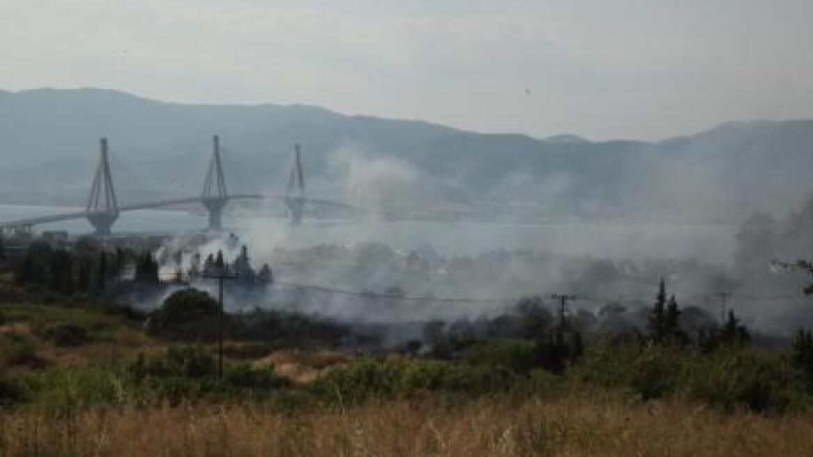 Υπο πλήρη έλεγχο η φωτιά στο Καστρίτσι