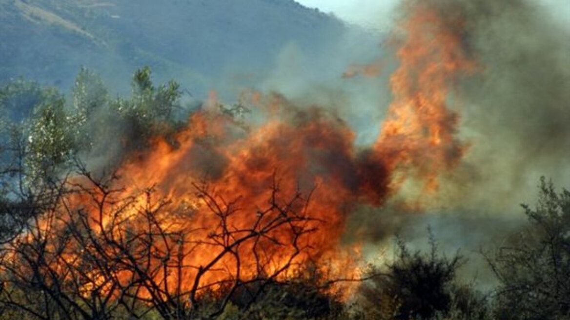 Πολύ υψηλός κίνδυνος πυρκαγιάς για σήμερα σε Αττική και Εύβοια