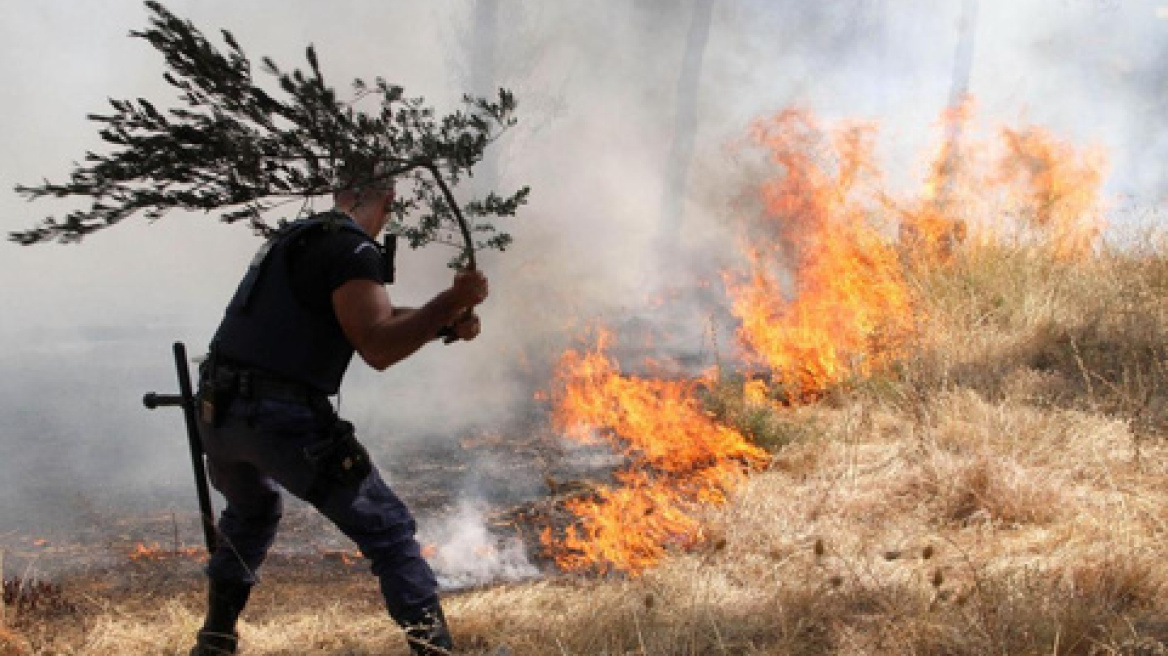 Πυρκαγιά στον Άγιο Στέφανο