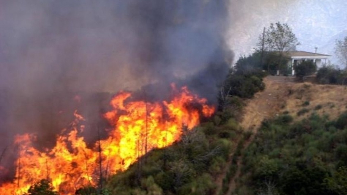 Υπό μερικό έλεγχο η πυρκαγιά στην Κεφαλονιά