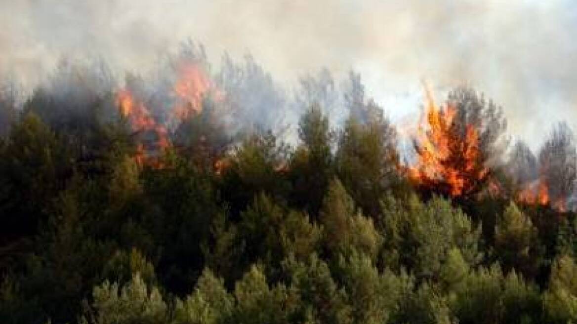 Σε εξέλιξη οι πυρκαγιές σε Λακωνία και Ιωάννινα