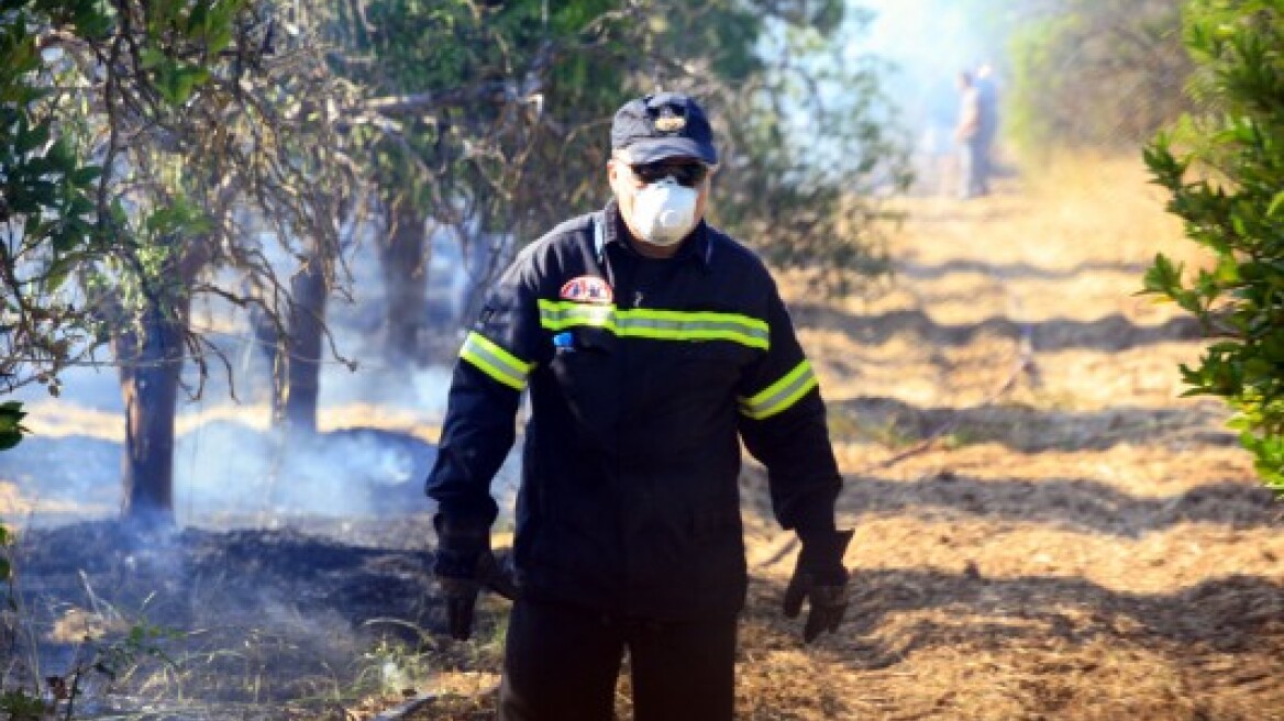 Υπό μερικό έλεγχο η πυρκαγιά στα Δεμοιριάνικα Λακωνίας