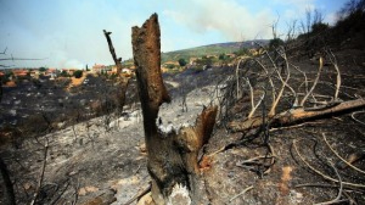 35.000 στρέμματα έκαψε η φωτιά στην Αρκαδία