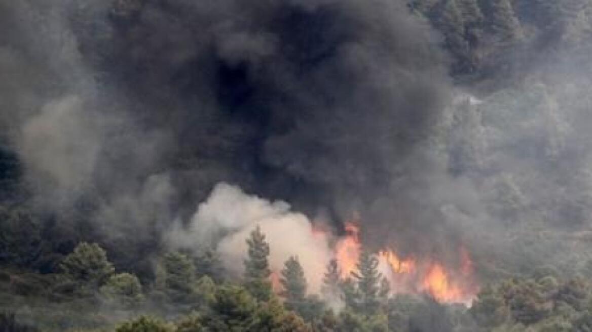 Σε ύφεση η πυρκαγιά στο Άγιο Όρος 