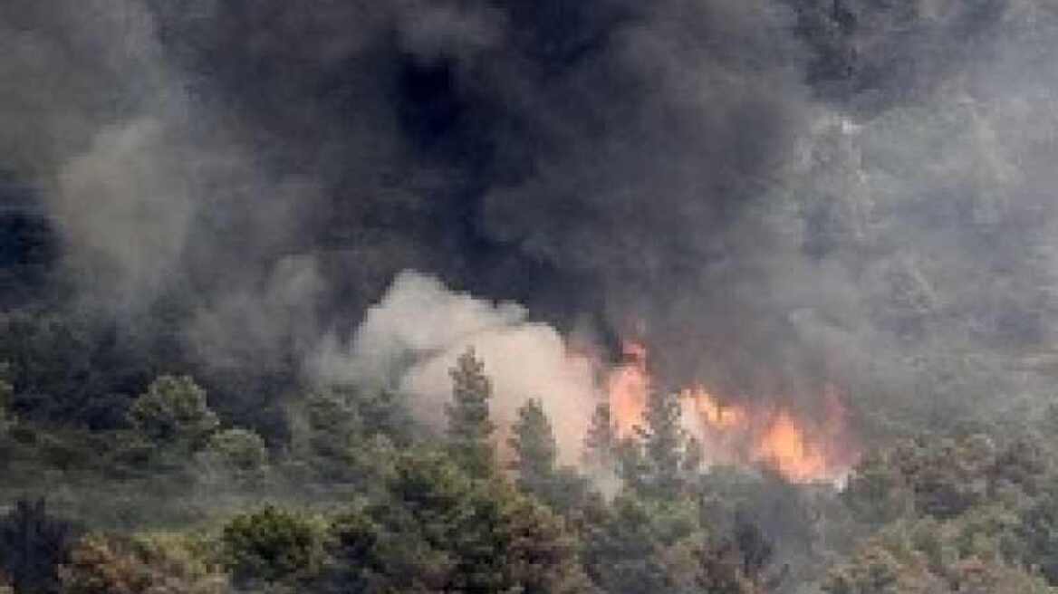 Επίγειες δυνάμεις πυρόσβεσης παραμένουν στο 'Αγιο Όρος      